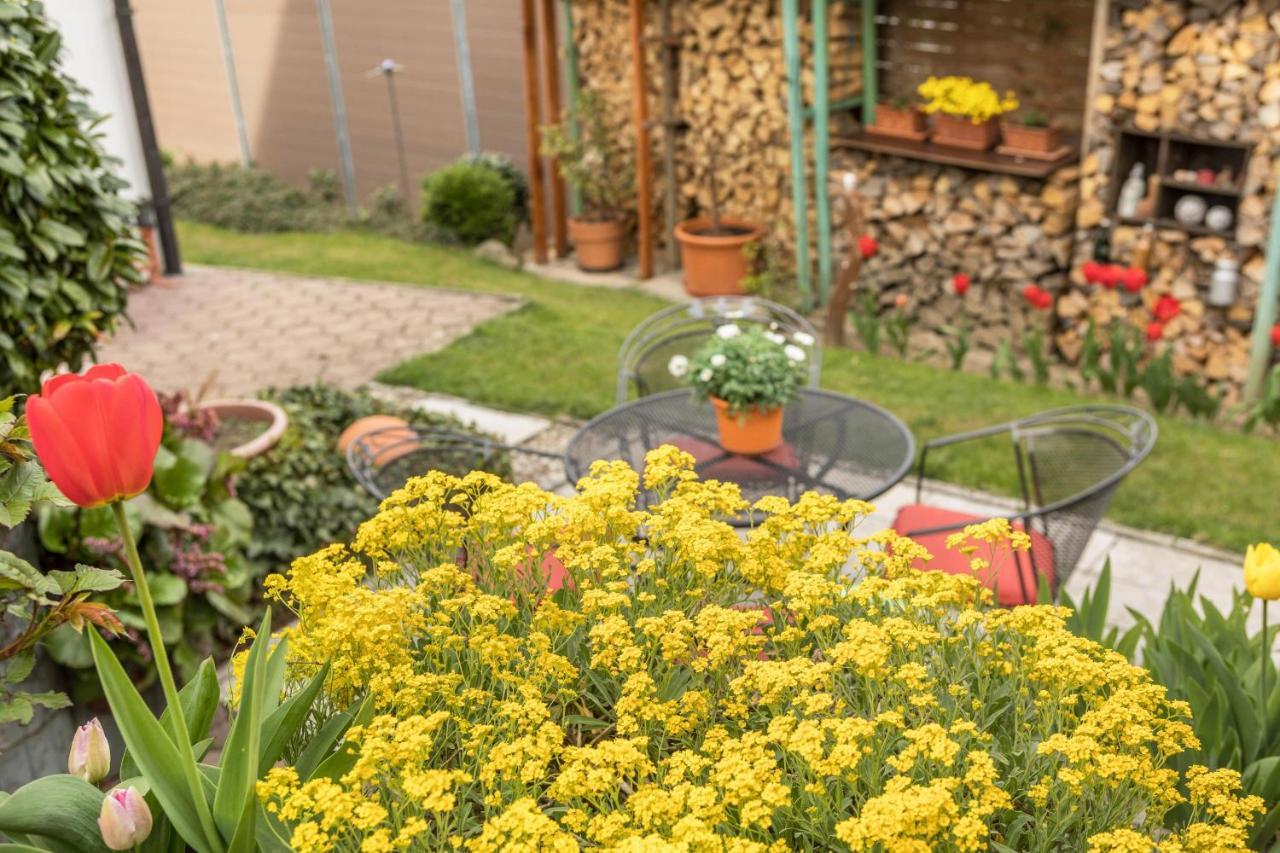 Appartement Haus Schneider à Kressbronn am Bodensee Extérieur photo